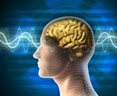 Definition of biofeedback and an explanation of how biofeedback works to improve mental health. But how effective is it? Find out on HealthyPlace.